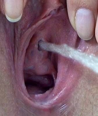 Pussy Ejaculation Pussy Ejaculation